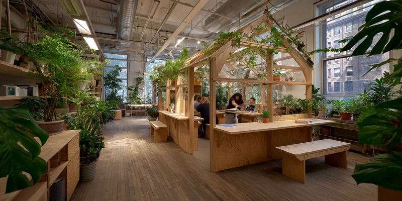 Shared interior built around timber, plants and communal use