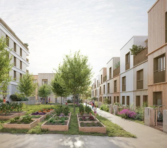 Residential courtyard with productive gardens